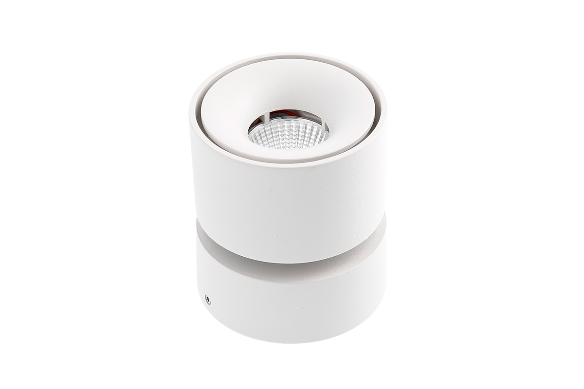 Bianco Adjustable Downlight Series