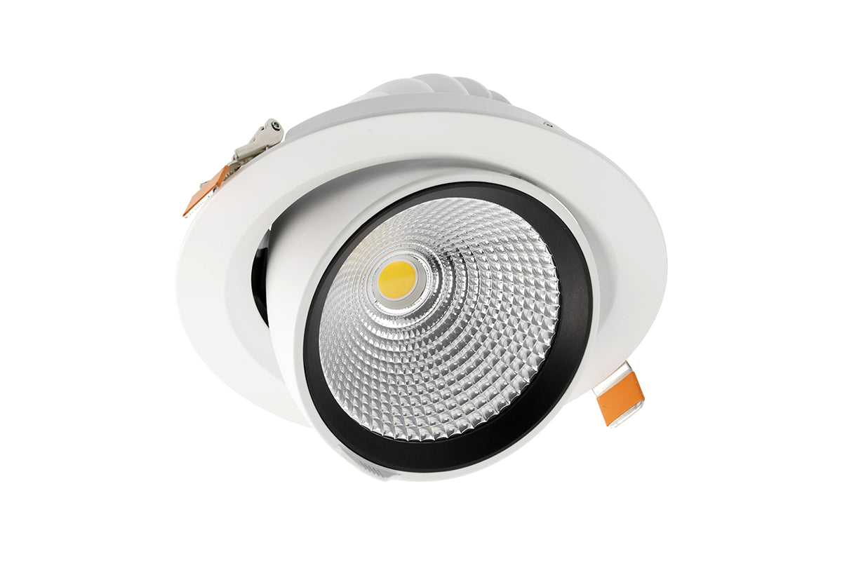 ALTA Scoop COB LED Downlight Series