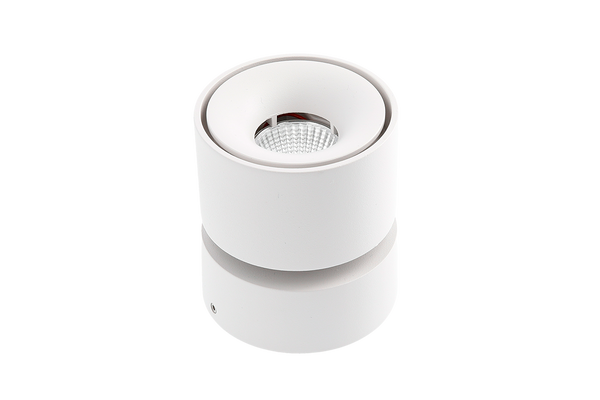 Bianco Adjustable Downlight Series