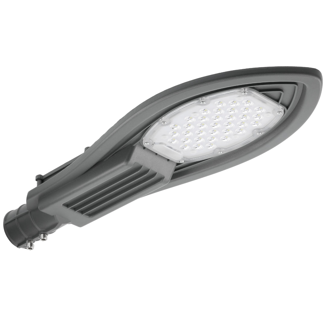 Park LED Streetlight Series