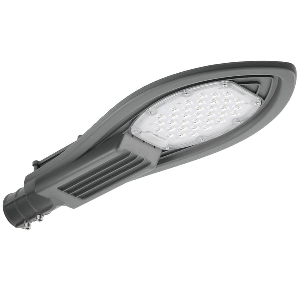 Park LED Streetlight Series