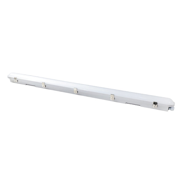 WS IP65 NCF Range